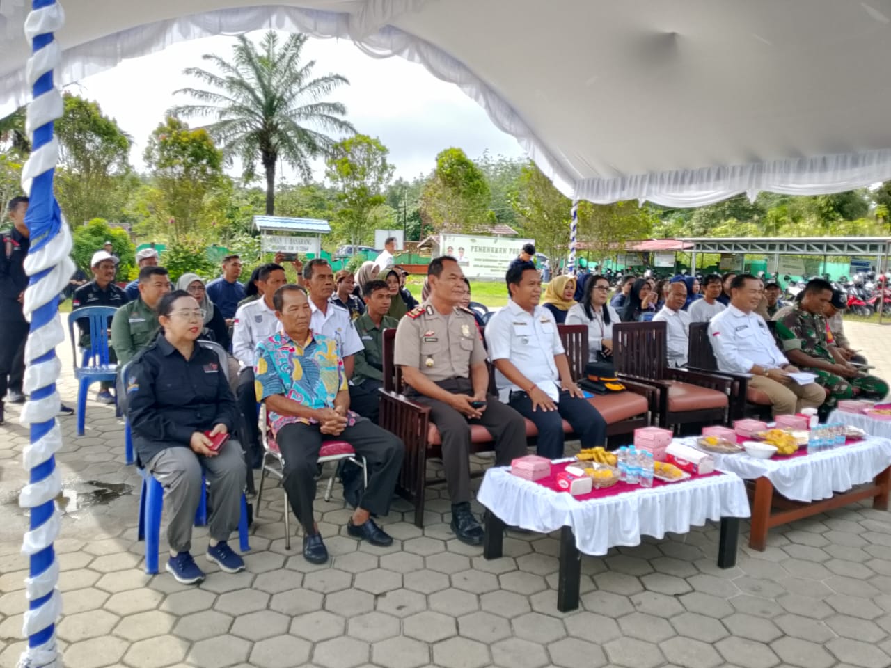 kphl-kapuas-kahayan-gelar-penanaman-pohon-serentak-peringati-hmpi-bmn-2025-di-basarang